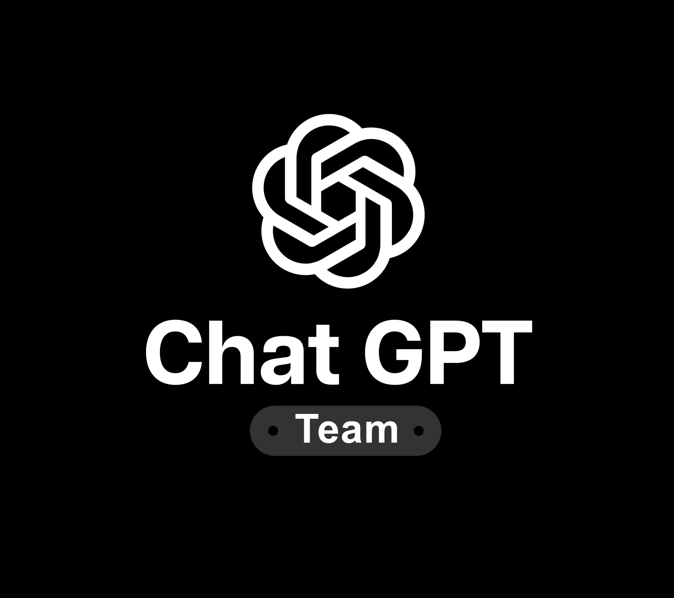 ChatGPT Team